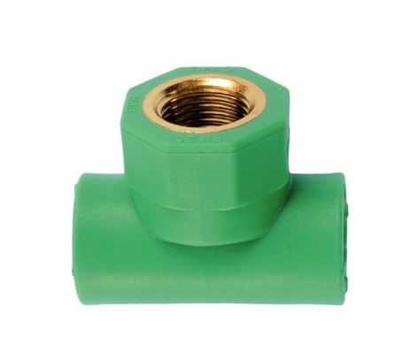 TEE FILET/FEMM PP GREEN 3/4X25